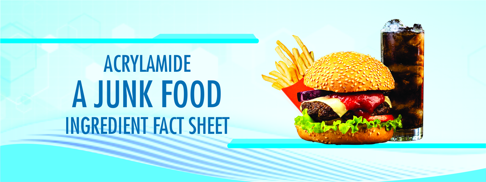 ACRYLAMIDE: A JUNK FOOD INGREDIENT FACT SHEET