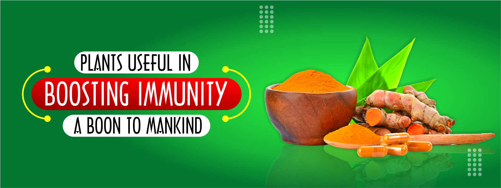 PLANTS-USEFUL-IN-BOOSTING-IMMUNITY