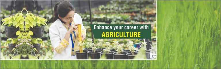 B.Arch Colleges In Jaipur, Architecture Colleges